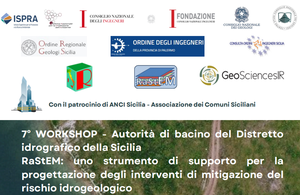 7th RaStEM Workshop: a support tool for the design of hydrogeological risk mitigation interventions