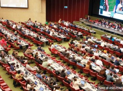 Riunione intergovernativa dell'UNEP per valutare l'istituzione del nuovo gruppo di esperti in politica scientifica Riunione intergovernativa dell'UNEP per valutare l'istituzione del nuovo gruppo di esperti in politica scientifica